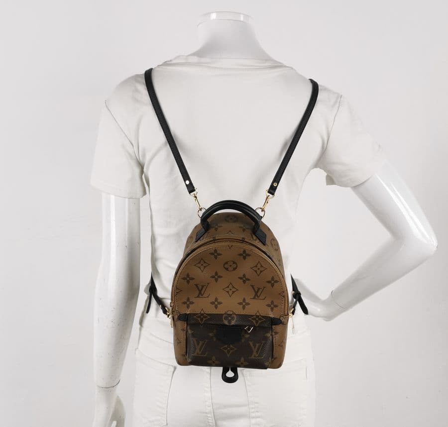 Louis Vuitton Palm Springs Mini