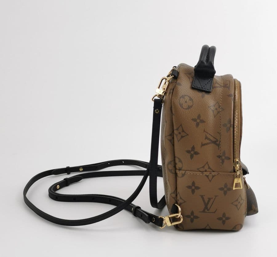 Louis Vuitton Palm Springs Mini