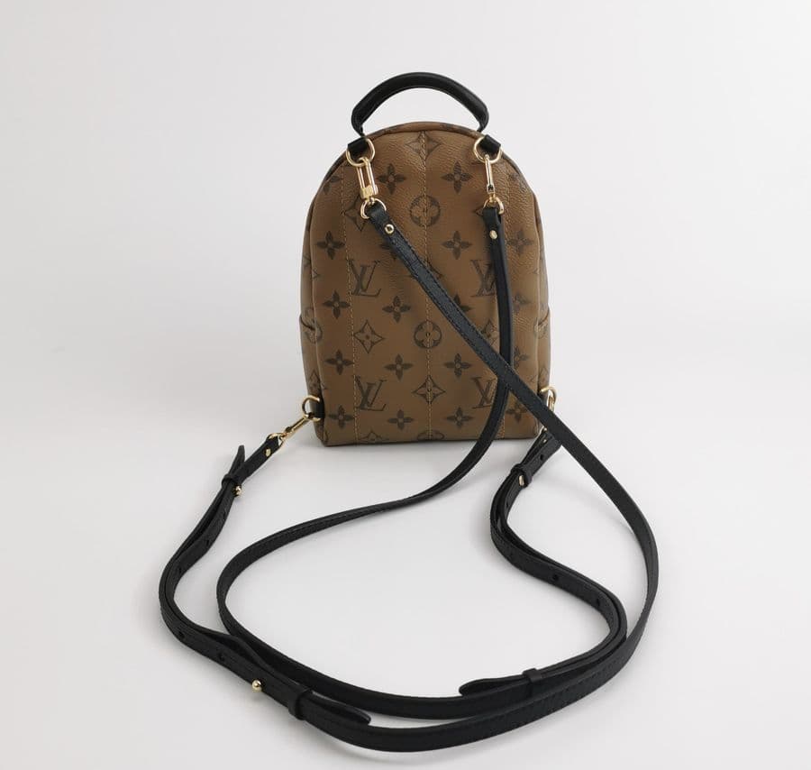 Louis Vuitton Palm Springs Mini